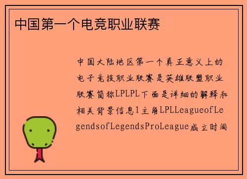 中国第一个电竞职业联赛